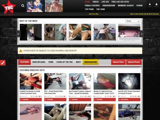 540px x 405px - Theync Review - Best Extreme Porn Sites like theync.com
